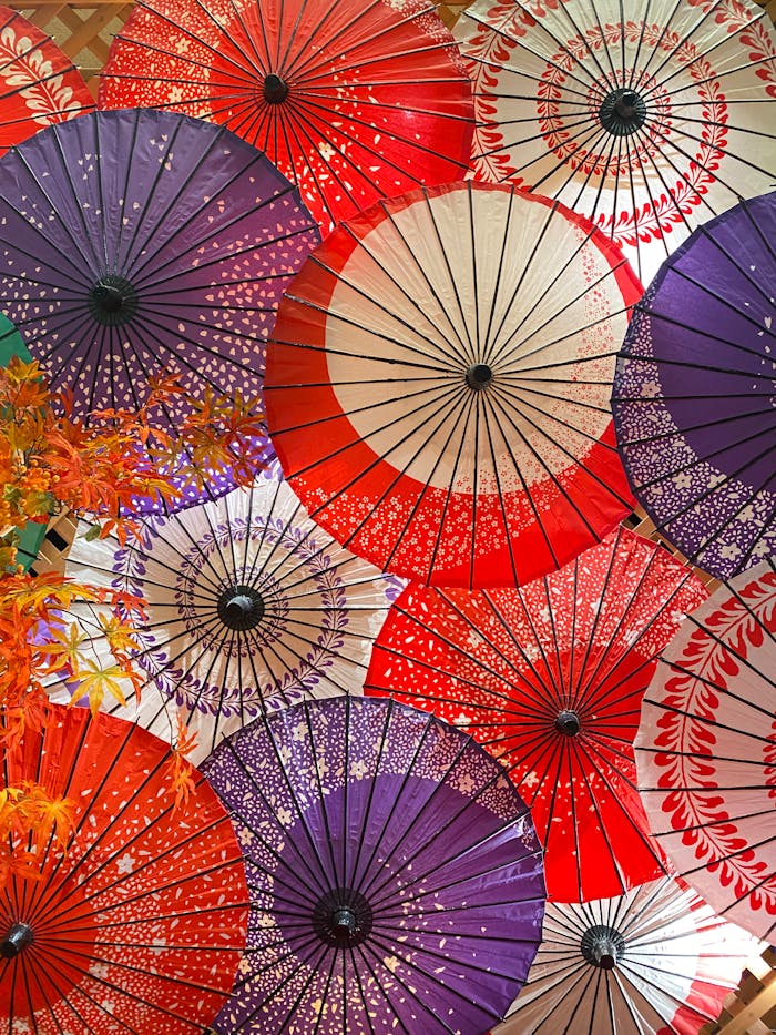 Vibrant display of traditional Japanese paper umbrellas in various colors and patterns.